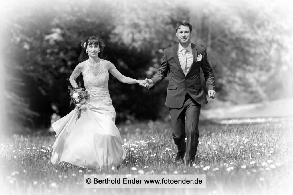 Fotograf Dessau-Roßlau Hochzeit im Luisium - Fotostudio Ender