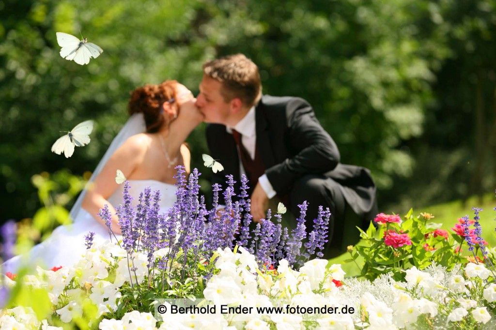 Hochzeitsfotograf Lutherstadt Wittenberg: Fotostudio Ender