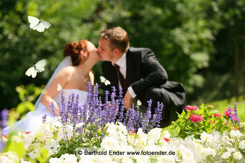 Hochzeitsfotos in  Wittenberg