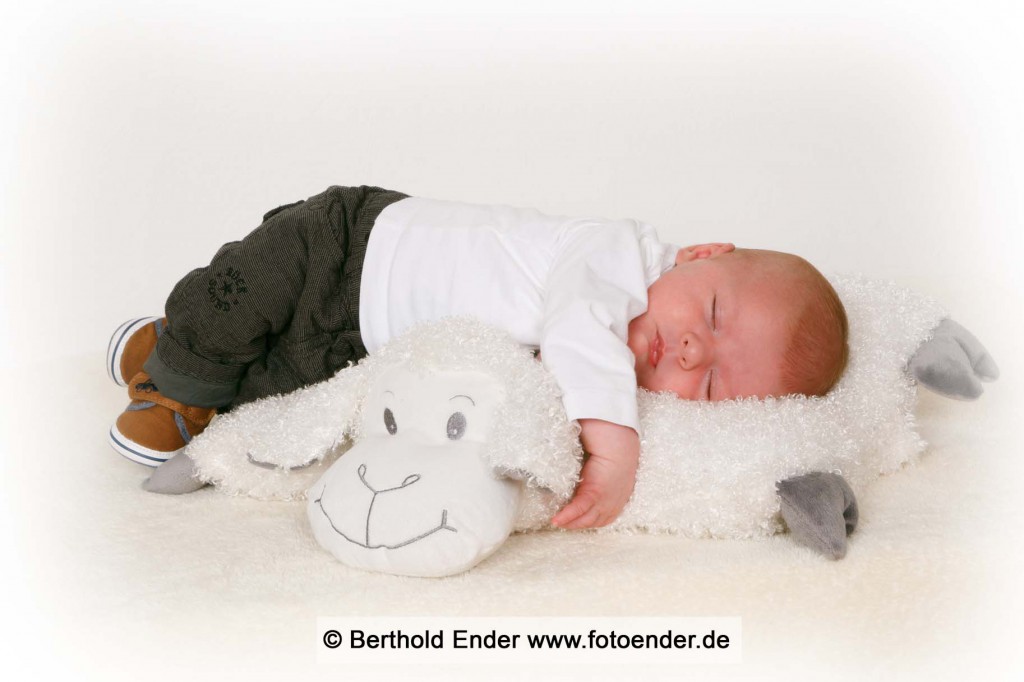 Babybilder - Fotostudio Ender, Oranienbaum-Wörlitz