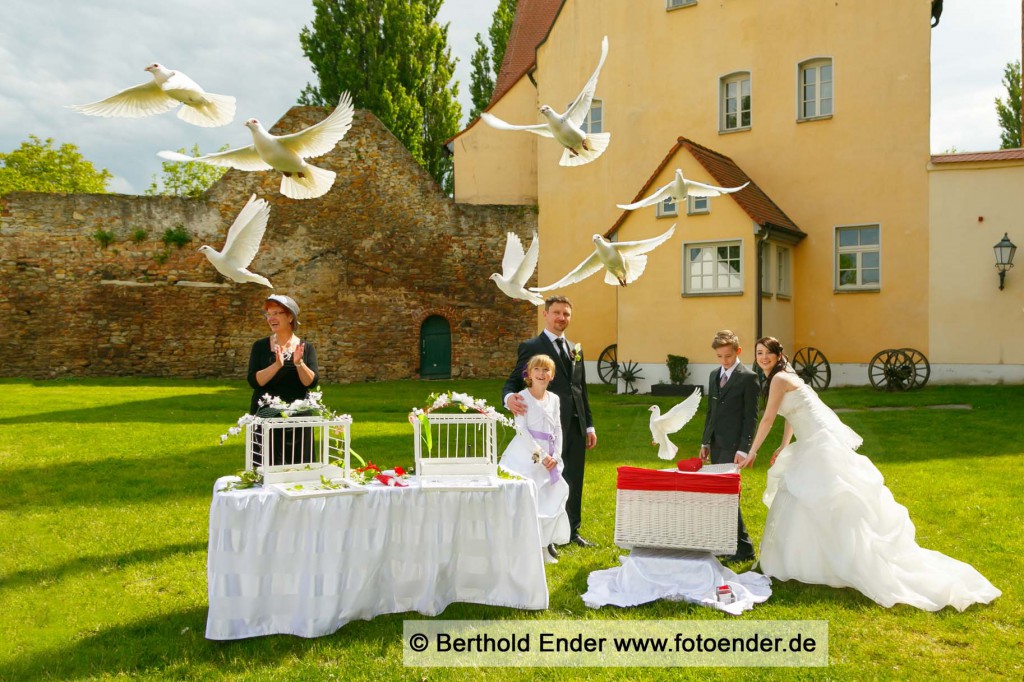 Hochzeitstauben auf der Wassenburg in Gommern