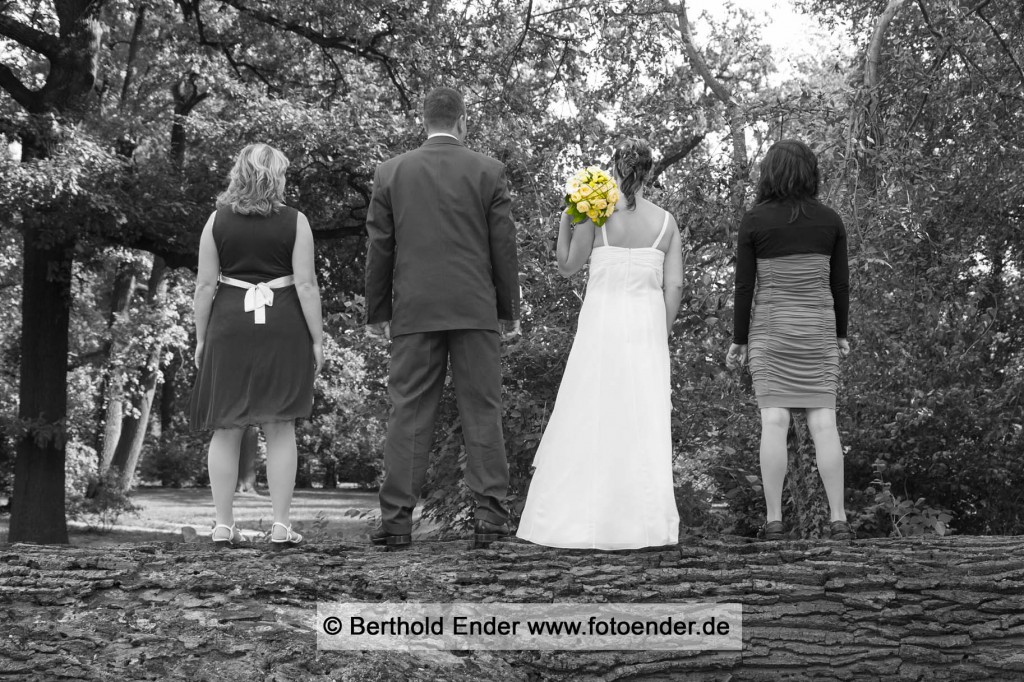 Hochzeitsbilder im Barockpark Oranienbaum: Fotostudio Ender