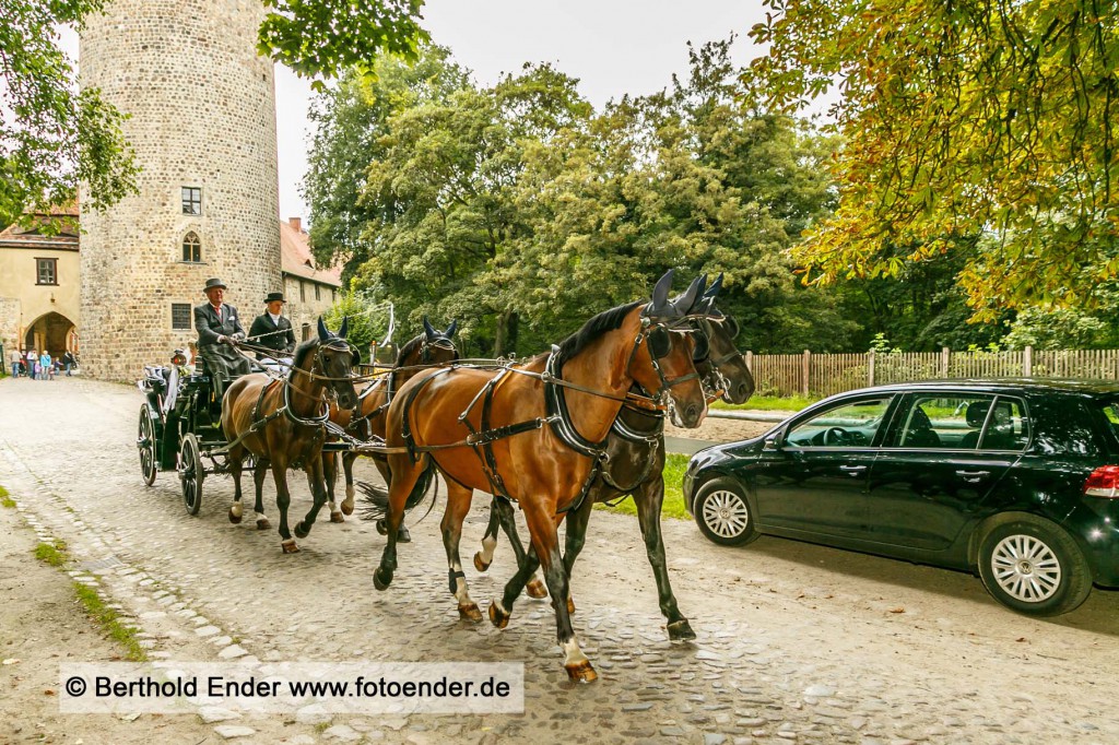 Ganztagsbegleitung einer Hochzeit- Fotostudio Ender Oranienbaum-Wörlitz