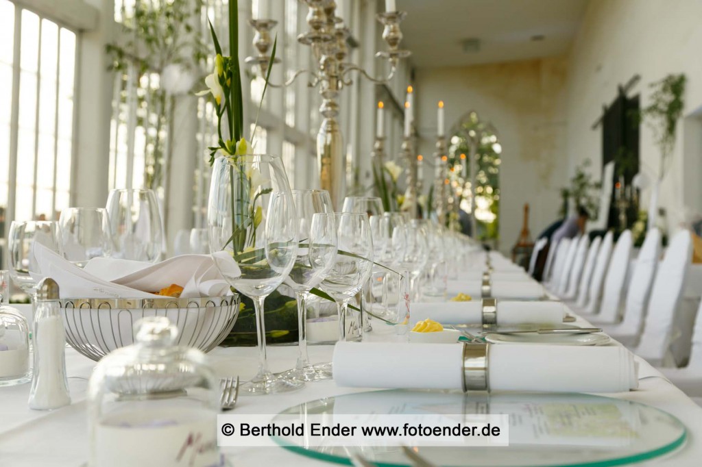 Hochzeitsfeier im Palmenhaus in Wörlitz