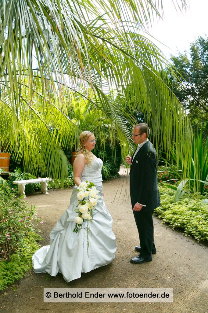 Brautpaar im Palmengarten im Wörlitzer Park