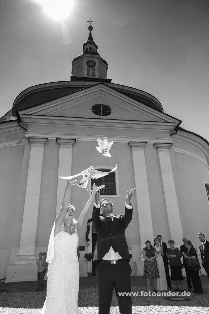 Hochzeitstauben in Oranienbaum