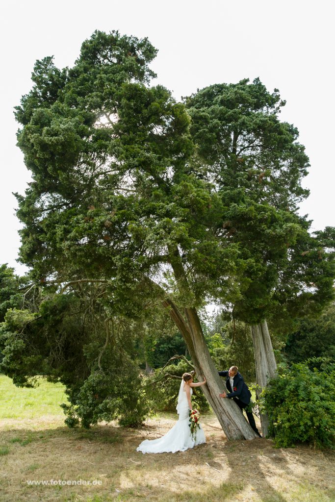 BGanztagsbegleitung im Schloß Oranienbaum und Wörlitzer Park