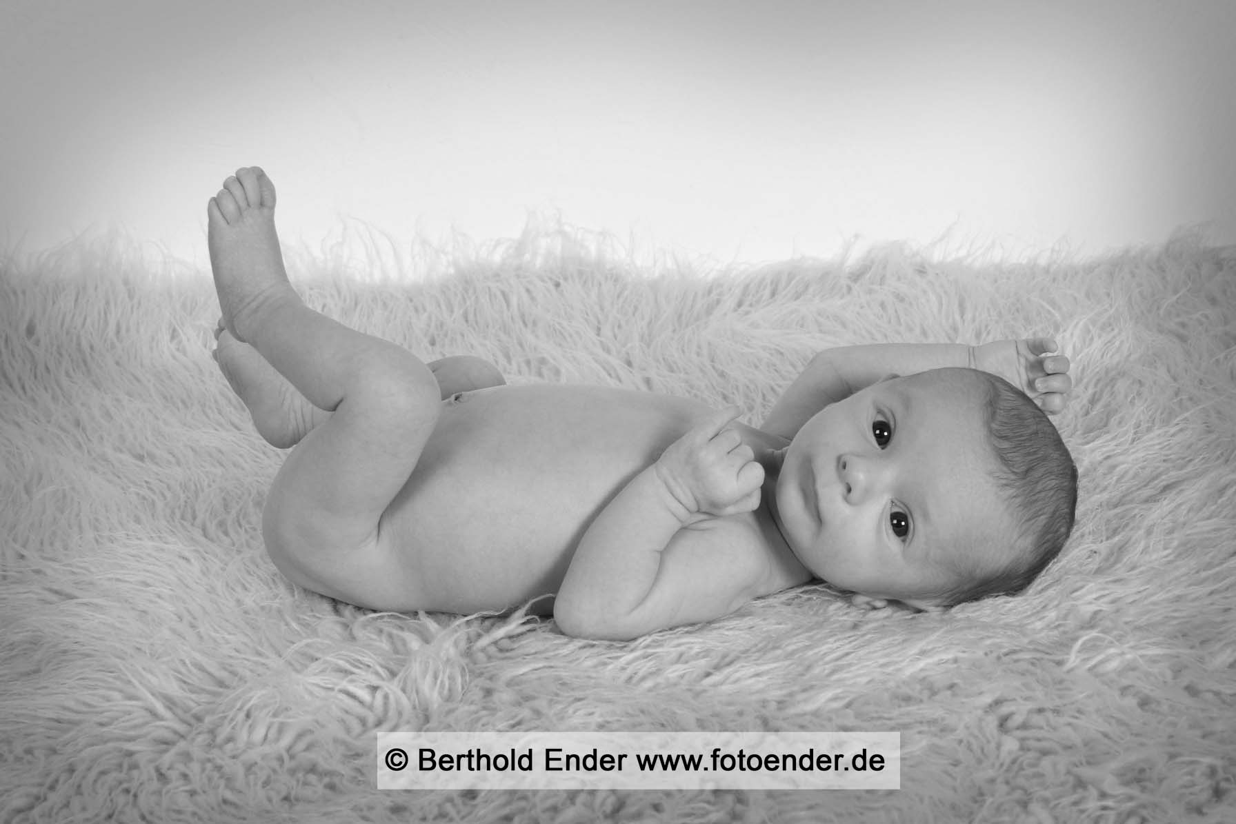 Babyfotos im Studio: Fotostudio Ender, Oranienbaum-Wörlitz
